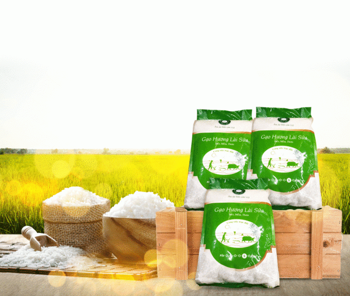 MT 재스민향 쌀 5KG