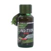 숙취해소음료 컨디션 (75ML)