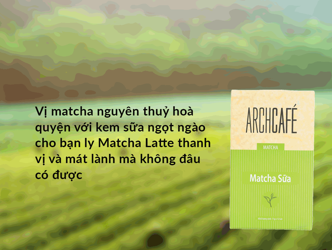 ArchCafe 말차 라떼 (11G*12개입) (1 플러스 1)