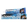 Closeup 아이스 후레쉬 치약 230G