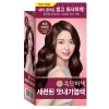 Reen 흑모비책 새치용 세련된 멋내기염색약 128G (초코 브라운)