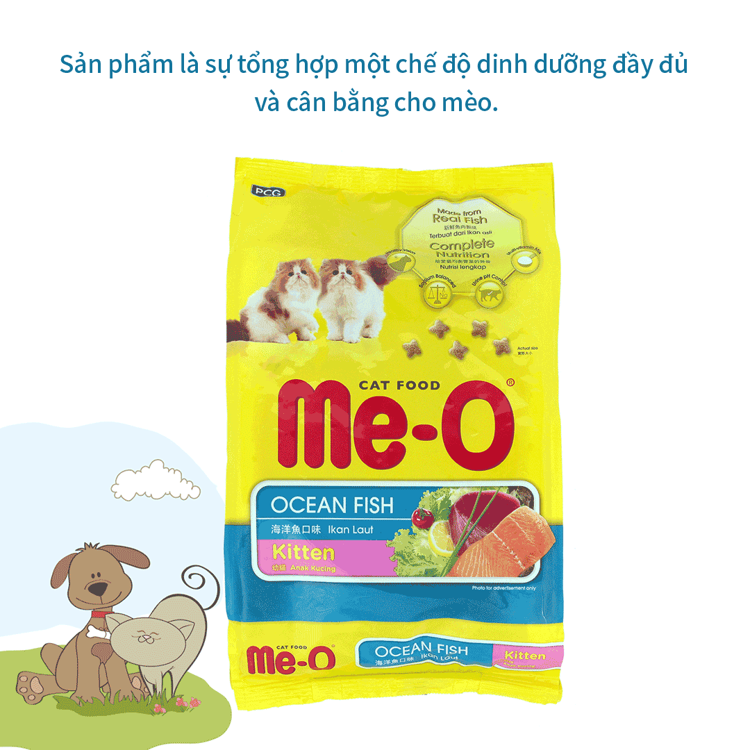 바다물고기향 고양이사료/1.1KG