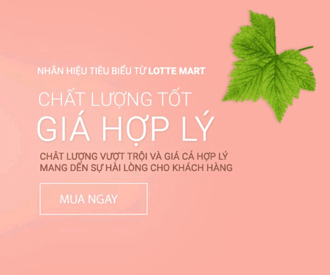 3M 고급 나일론 빗자루